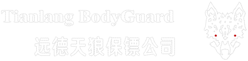 咸阳保镖公司